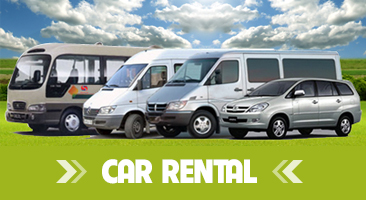 Car rental